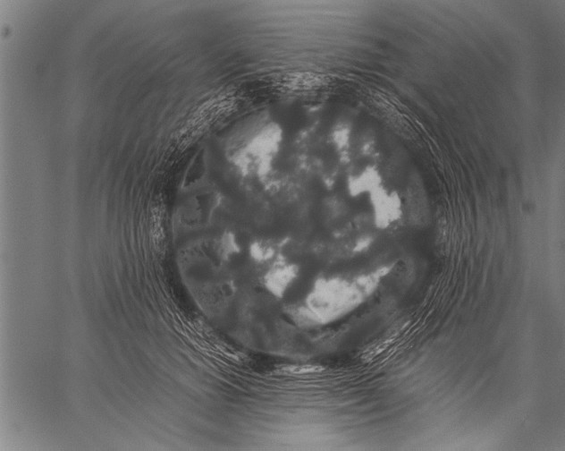 X0000057100654200509301618