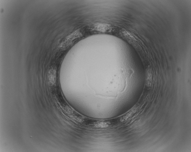 X0000057100656200509301618