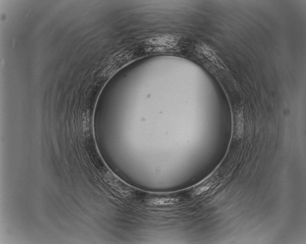 X0000057100657200509301618