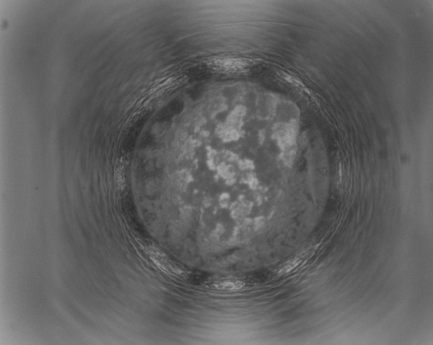 X0000057100658200509301618