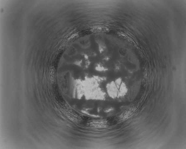 X0000057100659200509301618