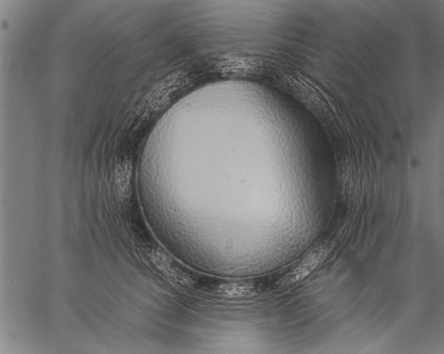 X0000057100660200509301618