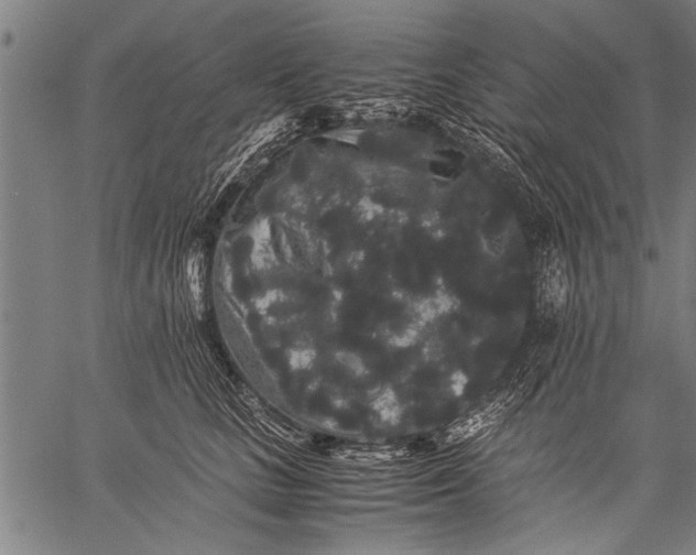 X0000057100661200509301618