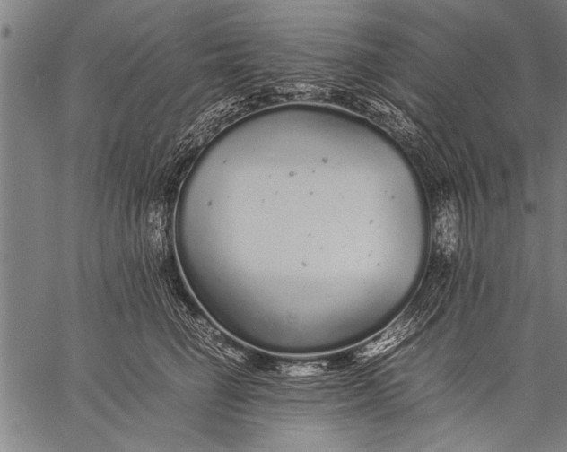 X0000057100662200509301618