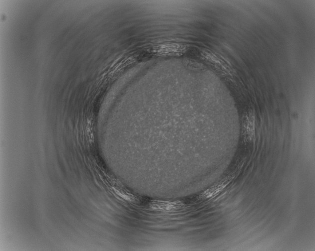 X0000057100663200509301618