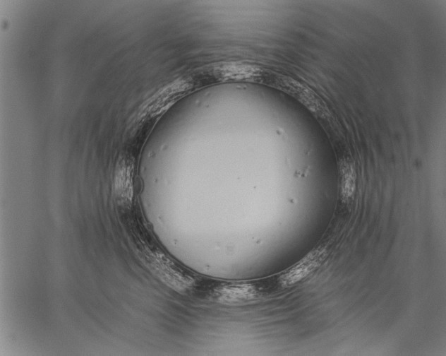 X0000057100666200509301618