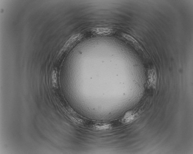 X0000057100667200509301618