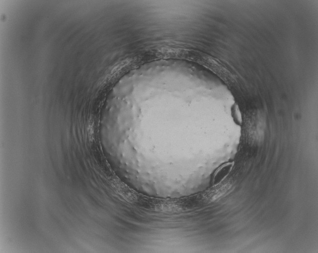 X0000057100668200509301618