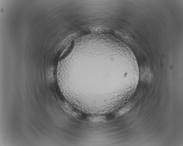 X0000057100670200509301618