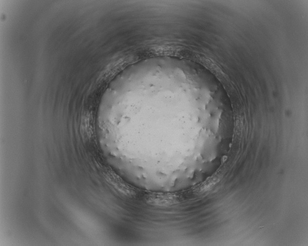 X0000057100671200509301618