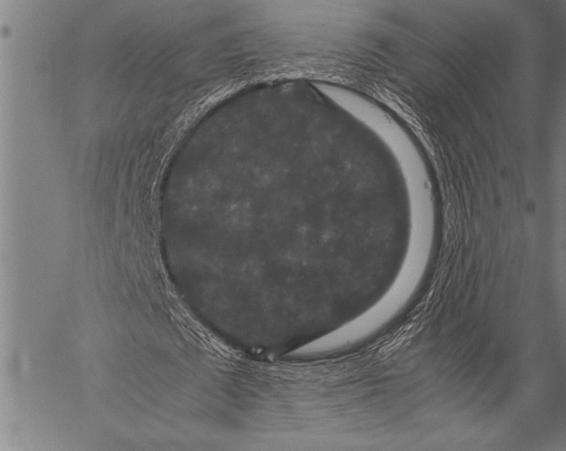 X0000057100673200509301617