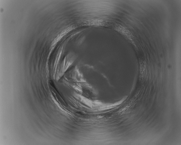 X0000057100674200509301617