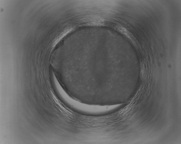 X0000057100677200509301617