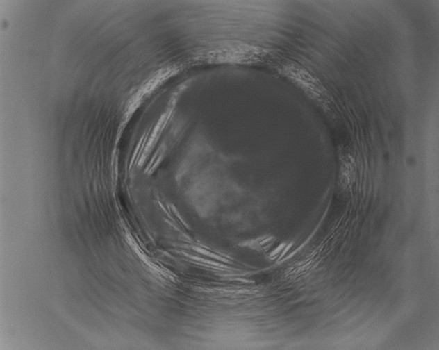 X0000057100678200509301617