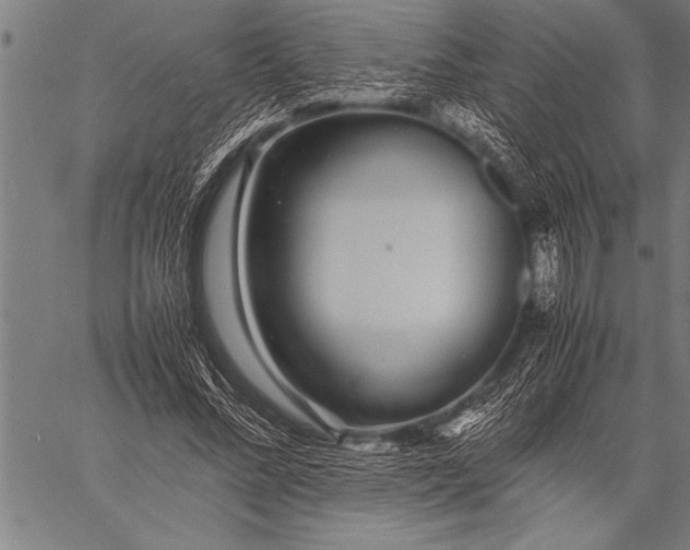 X0000057100684200509301617