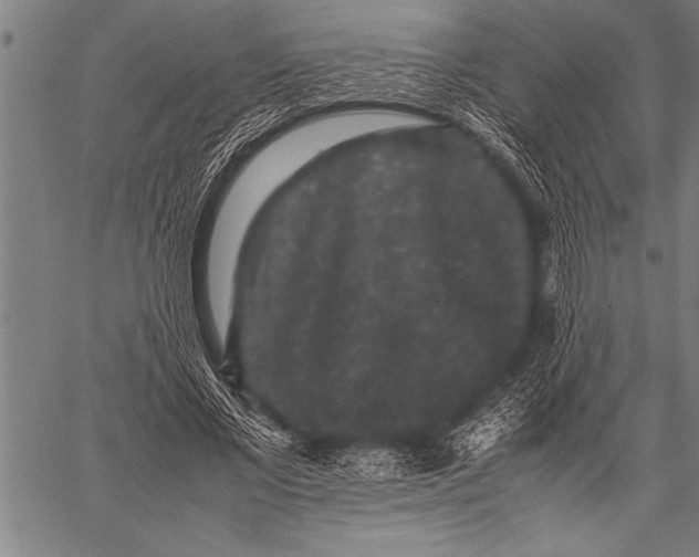 X0000057100685200509301617