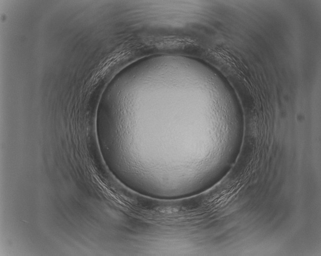 X0000057100687200509301617