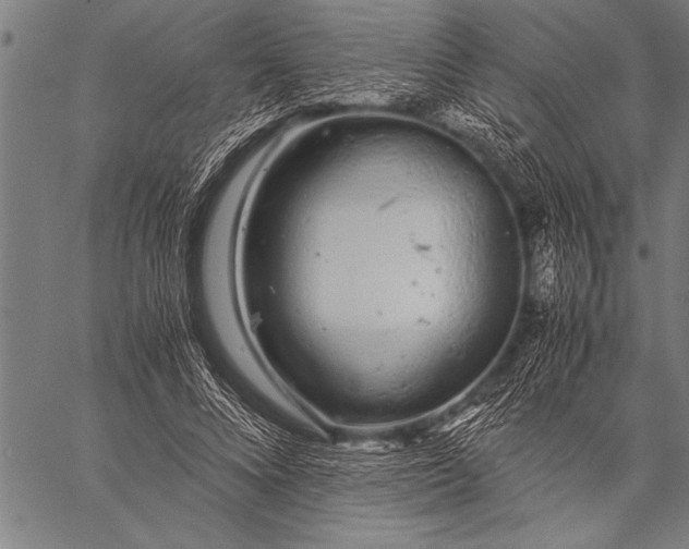 X0000057100688200509301617