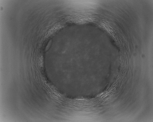 X0000057100689200509301617