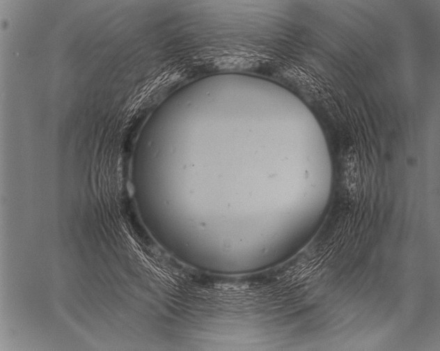 X0000057100690200509301617