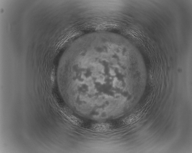 X0000057100691200509301617