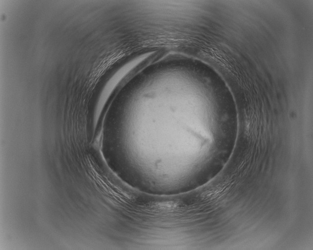 X0000057100692200509301617