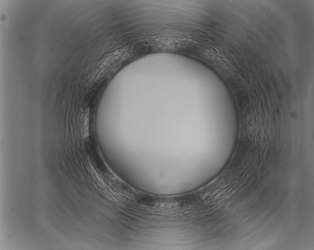 X0000057100694200509301617