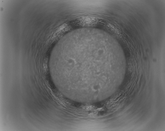 X0000057100695200509301617