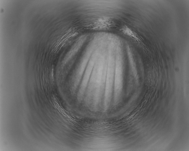 X0000057100696200509301617