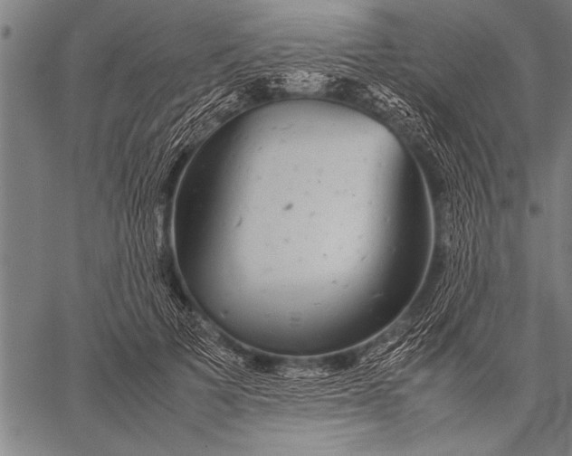 X0000057100697200509301617