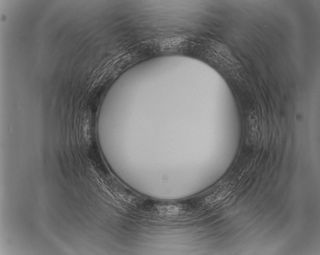 X0000057100698200509301617