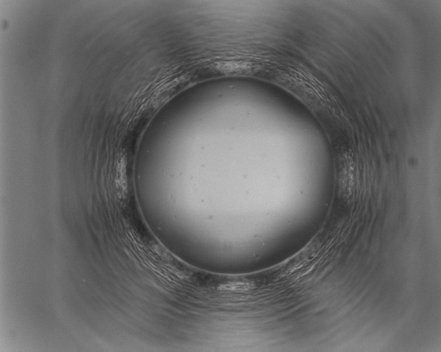 X0000057100700200509301617