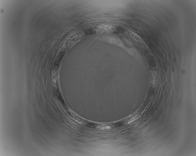 X0000057100701200509301617