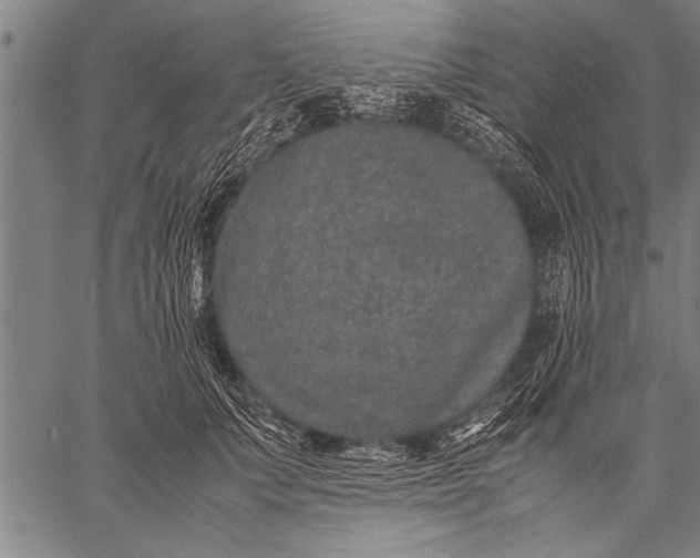 X0000057100703200509301617