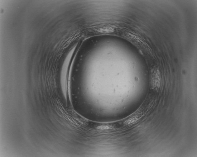 X0000057100704200509301617