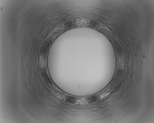 X0000057100705200509301617