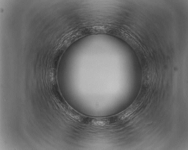 X0000057100706200509301617