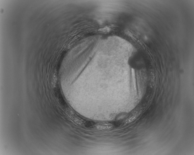 X0000057100707200509301617