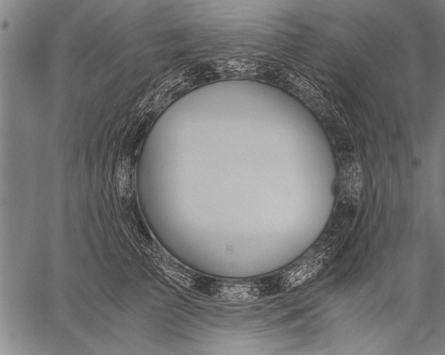 X0000057100709200509301617