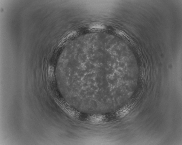 X0000057100711200509301617