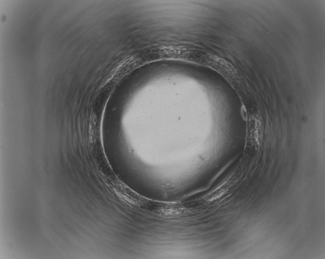 X0000057100712200509301617