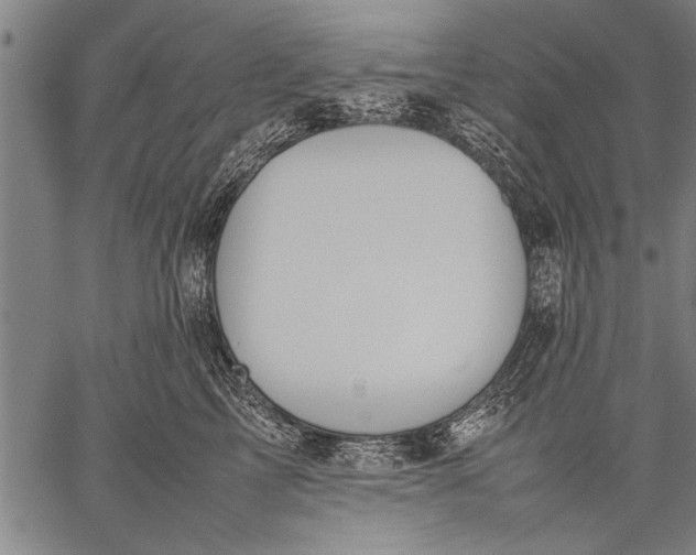 X0000057100713200509301617