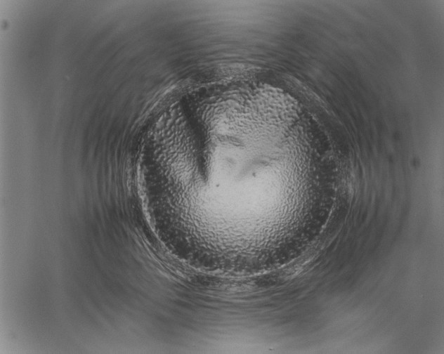 X0000057100716200509301617