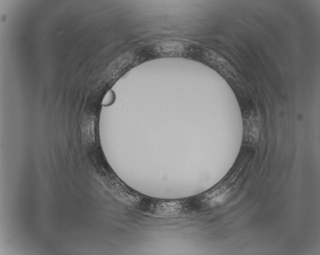 X0000057100717200509301617