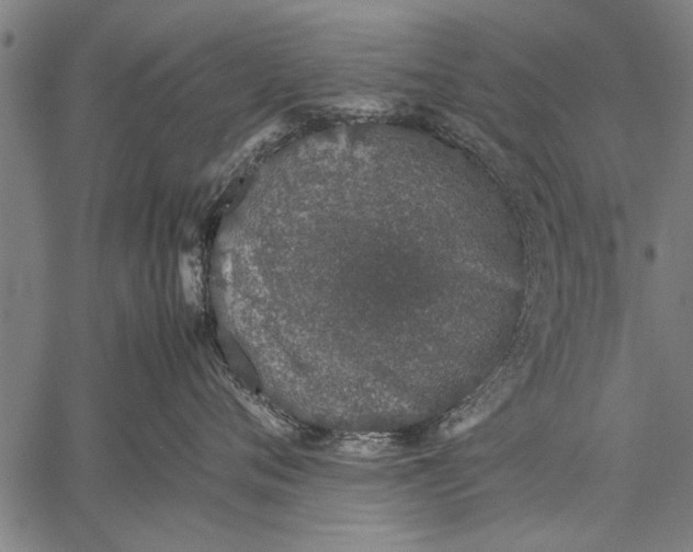 X0000057100720200509301617