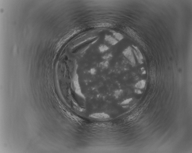 X0000057100721200509301616