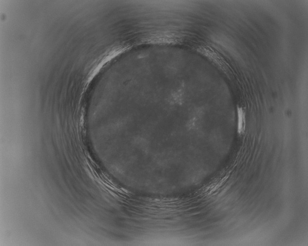 X0000057100723200509301616