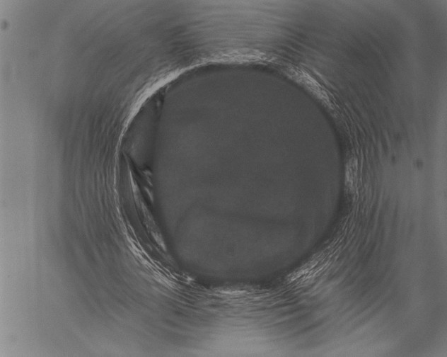 X0000057100724200509301616