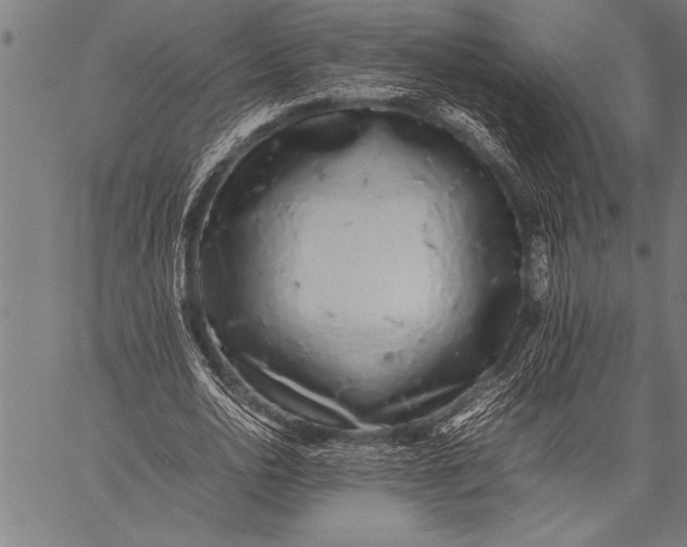 X0000057100726200509301616