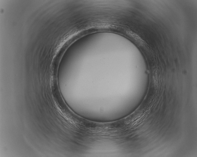 X0000057100728200509301616